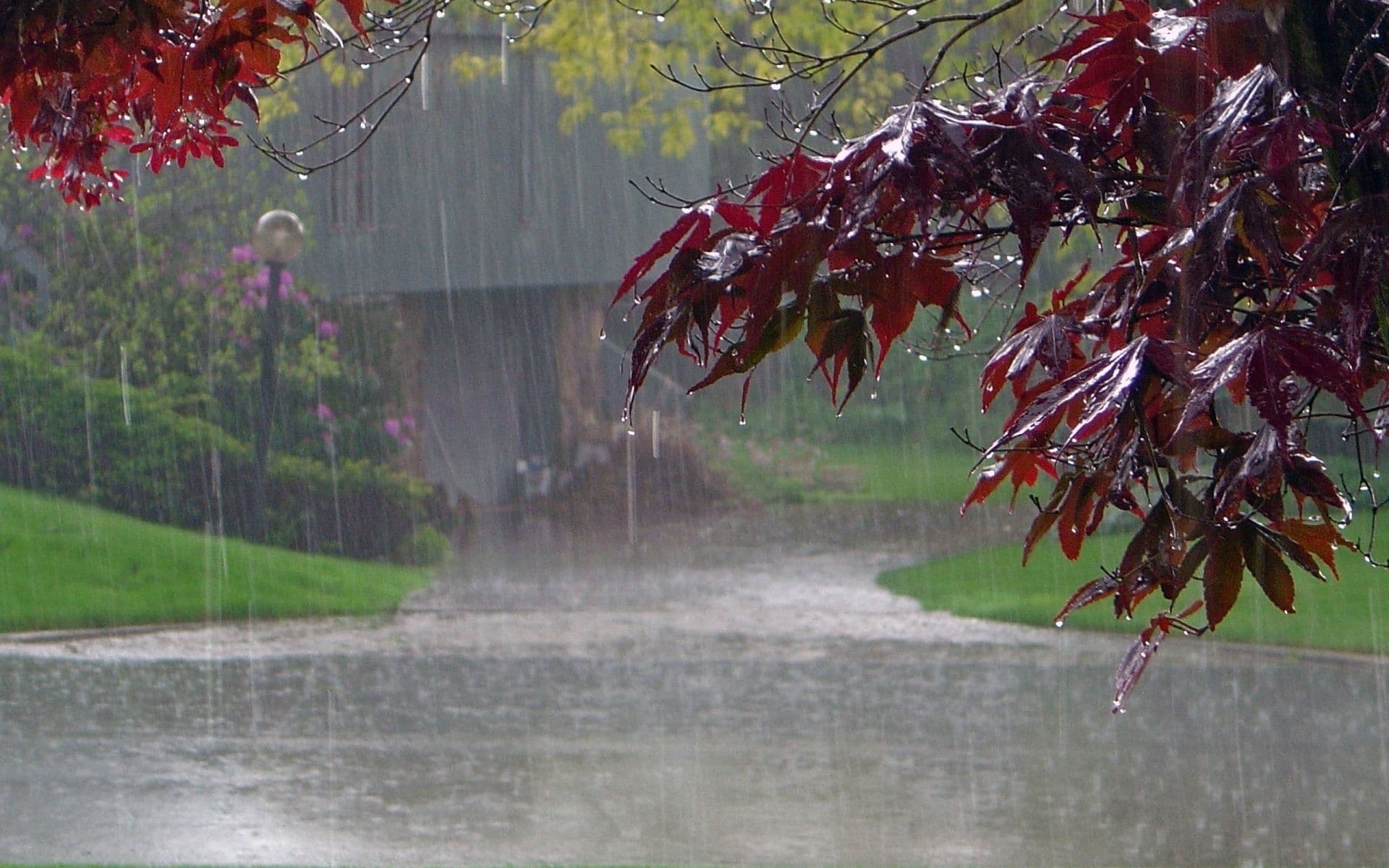 拆解落大雨時間之謎