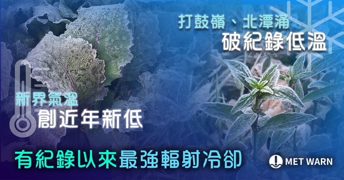 有紀錄以來最強輻射冷卻 新界空曠地區廣泛結霜
