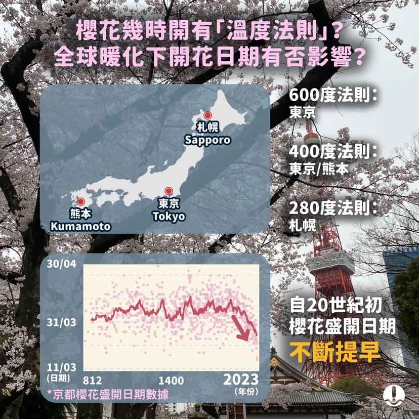 櫻花幾時開有「溫度法則」？全球暖化下開花日期有否影響？
